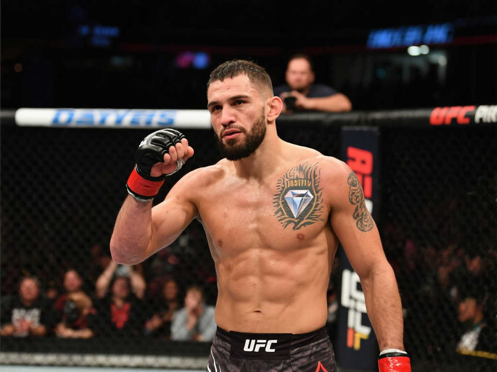 仅是偶然 仅是偶然