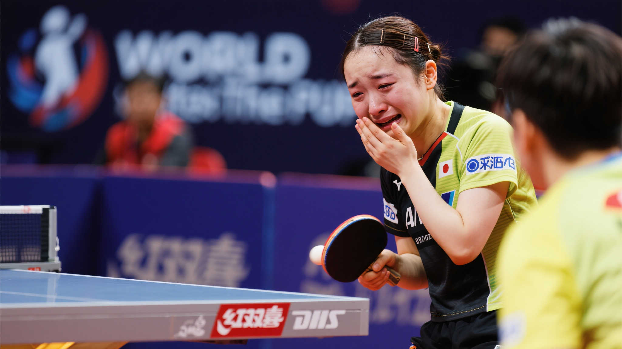 将自己稳固 将自己稳固